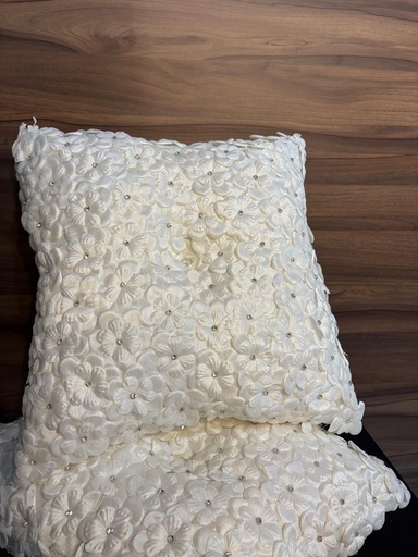 [0003147] PAR COJINES CUADRADO CHICO