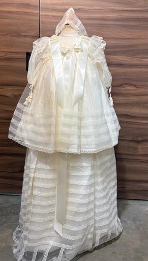 [0004870] ROPON RNA6017