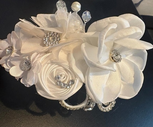 [0006915] DIADEMA PEDRERIA